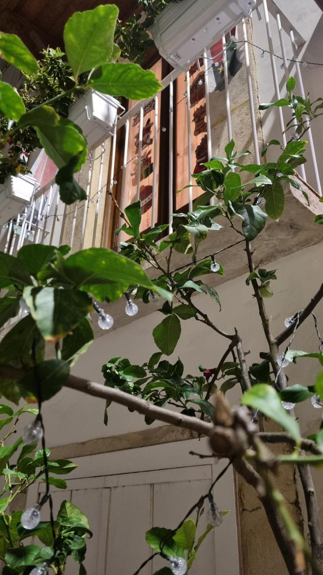 In Parva Domus Apartment Bitonto Exterior photo